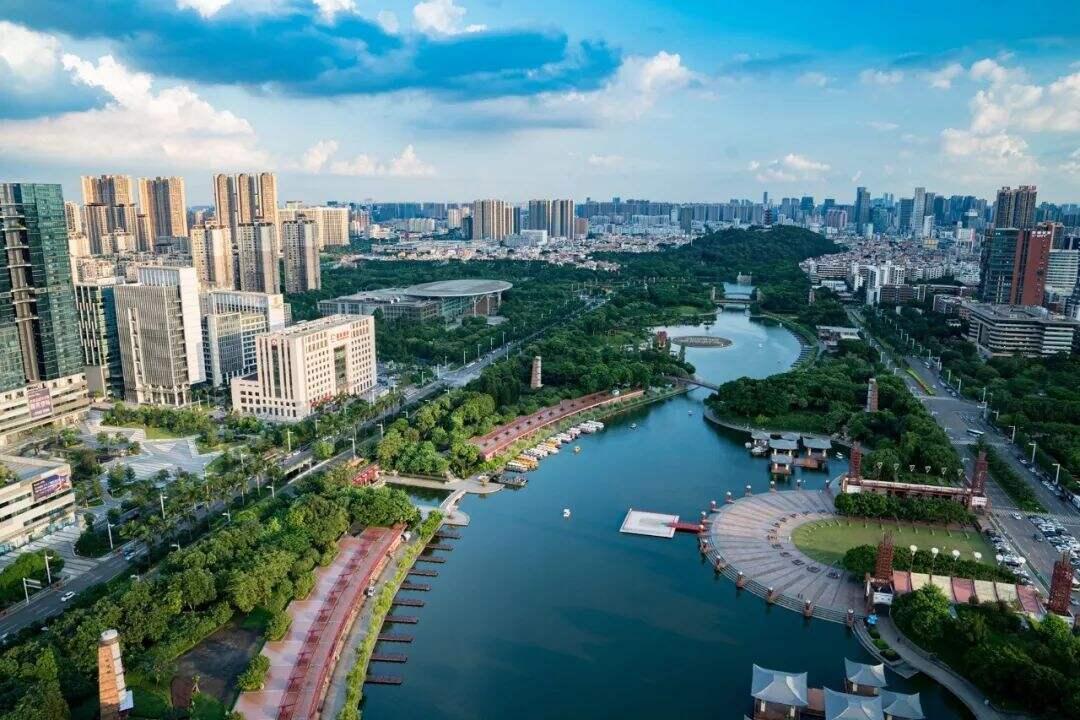 2025新澳门天天免费精准，全面诠释、解释与落实 解析与释义